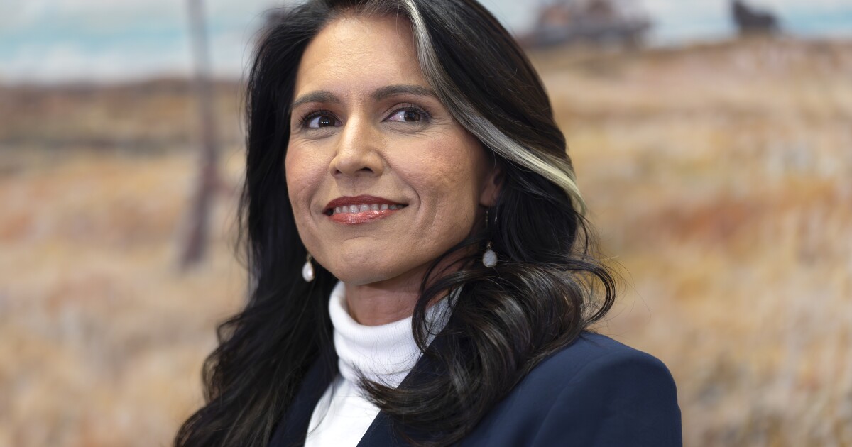 Gabbard to face scrutiny at Senate hearing for director of national intelligence